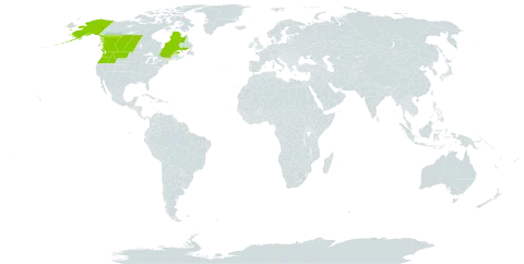 Botrychium pedunculosum world distribution map, present in Canada and United States of America