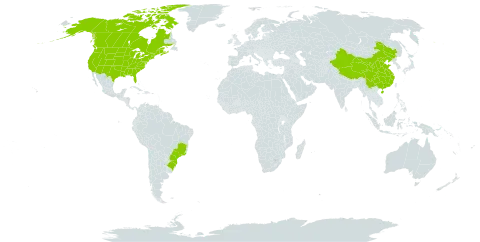 Botrychium virginianum world distribution map, present in Brazil, Canada, China, and United States of America