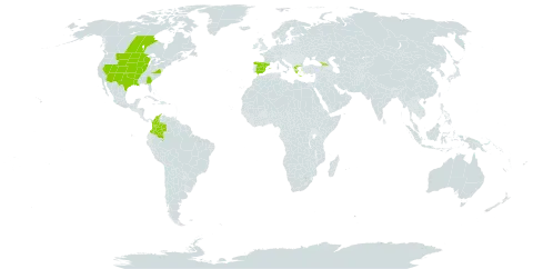 Bouteloua dactyloides world distribution map, present in Canada, Colombia, Spain, Georgia, Greece, and United States of America