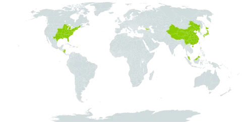 Brachyelytrum world distribution map, present in Åland Islands, China, Micronesia (Federated States of), Georgia, Japan, Malaysia, Nicaragua, Puerto Rico, Korea (Democratic People's Republic of), and United States of America