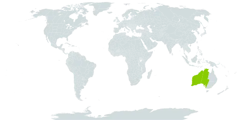 Brachyscome blackii world distribution map, present in Australia