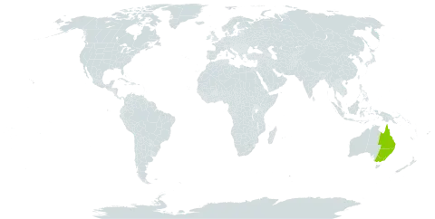 Brachyscome scapigera world distribution map, present in Australia