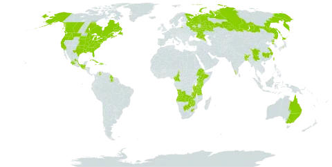 Brasenia schreberi world distribution map, present in Angola, American Samoa, Australia, Burundi, Bangladesh, Belize, Bhutan, Botswana, Canada, China, Cameroon, Cuba, Dominican Republic, Ethiopia, Guatemala, Guyana, Haiti, India, Jamaica, Japan, Kenya, Sri Lanka, Mexico, Malawi, Korea (Democratic People's Republic of), Russian Federation, El Salvador, Taiwan, Province of China, Tanzania, United Republic of, Uganda, United States of America, Venezuela (Bolivarian Republic of), South Africa, Zambia, and Zimbabwe