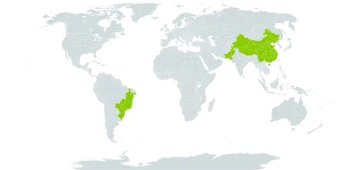 Brassica cretica world distribution map, present in Brazil, China, Pakistan, and United States of America