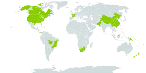 Brassica juncea world distribution map, present in American Samoa, Brazil, Brunei Darussalam, Canada, China, France, Iceland, Malaysia, New Zealand, Pakistan, Panama, Philippines, Papua New Guinea, United States of America, and South Africa