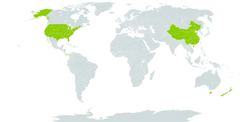 Brassica world distribution map, present in Australia, China, New Zealand, Panama, and United States of America