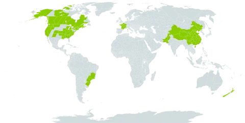 Brassica napus world distribution map, present in Brazil, Canada, China, France, New Zealand, Pakistan, and United States of America