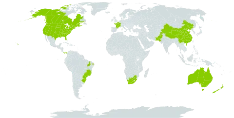 Brassica rapa world distribution map, present in Australia, Brazil, Canada, China, France, New Zealand, Pakistan, Panama, United States of America, and South Africa