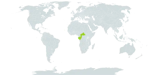 Brazzeia world distribution map, present in Central African Republic, Congo, Cabo Verde, Gabon, and Uganda