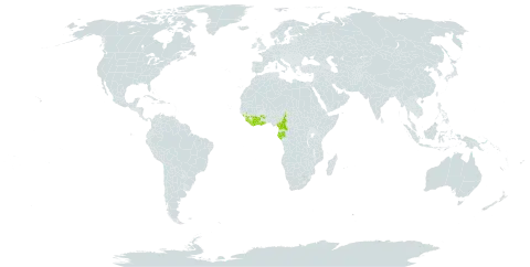 Brenandendron donianum world distribution map, present in Côte d'Ivoire, Cameroon, Gabon, Ghana, Guinea, Equatorial Guinea, Liberia, and Sierra Leone