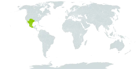 Brickellia veronicifolia world distribution map, present in Mexico and United States of America