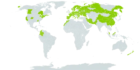 Briza media world distribution map, present in Åland Islands, Albania, Austria, Bulgaria, Belarus, Canada, Switzerland, China, Colombia, Cyprus, Czech Republic, Germany, Denmark, Spain, Finland, France, Micronesia (Federated States of), United Kingdom of Great Britain and Northern Ireland, Greece, Hungary, Ireland, Iran (Islamic Republic of), Italy, Morocco, Malaysia, Netherlands, Norway, Nepal, New Zealand, Pakistan, Poland, Portugal, Romania, Russian Federation, Sweden, Turks and Caicos Islands, Ukraine, and United States of America