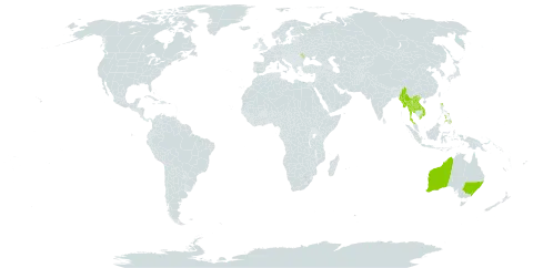 Bromheadia finlaysoniana world distribution map, present in Australia, Lao People's Democratic Republic, Moldova (Republic of), Myanmar, Philippines, Thailand, and Viet Nam