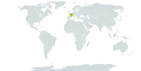 Bromus alopercuros subsp. caroli-henrici world distribution map, present in Cyprus, France, Greece, Palau, and Turks and Caicos Islands