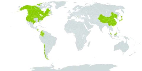 Bromus ciliatus world distribution map, present in Åland Islands, Canada, Chile, China, Colombia, France, Japan, Montenegro, Malaysia, Nicaragua, Korea (Democratic People's Republic of), and United States of America