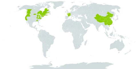 Bromus erectus world distribution map, present in Canada, China, France, and United States of America