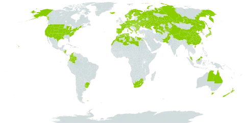 Bromus hordeaceus world distribution map, present in Åland Islands, Albania, Australia, Austria, Bulgaria, Belarus, Brazil, Switzerland, China, Colombia, Cyprus, Czech Republic, Germany, Denmark, Algeria, Egypt, Spain, Finland, Falkland Islands (Malvinas), France, Micronesia (Federated States of), Greece, Hungary, Ireland, Iceland, Italy, Japan, Kazakhstan, Kyrgyzstan, Libya, Morocco, Malaysia, Norfolk Island, Nicaragua, Netherlands, Norway, New Zealand, Pakistan, Poland, Korea (Democratic People's Republic of), Portugal, Romania, Russian Federation, Sweden, Turks and Caicos Islands, Turkmenistan, Tunisia, Taiwan, Province of China, Ukraine, Uruguay, United States of America, Uzbekistan, and South Africa