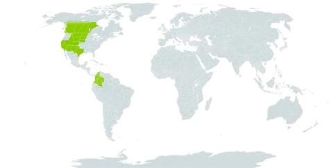 Bromus porteri world distribution map, present in Canada, Colombia, and United States of America