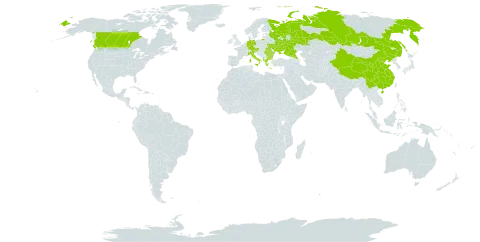 Bromus riparius world distribution map, present in Albania, Austria, Bulgaria, Canada, China, Germany, Greece, Italy, Romania, Russian Federation, Turks and Caicos Islands, and Ukraine