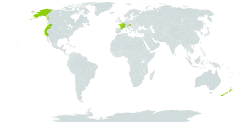 Bromus sitchensis world distribution map, present in Austria, France, New Zealand, and United States of America