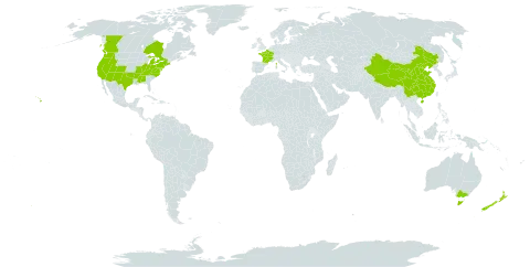 Bromus sterilis world distribution map, present in Australia, Canada, China, France, New Zealand, and United States of America