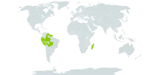 Brosimum utile subsp. ovatifolium world distribution map, present in Bolivia (Plurinational State of), Brazil, Ecuador, French Guiana, Guyana, Madagascar, Peru, Suriname, and Venezuela (Bolivarian Republic of)