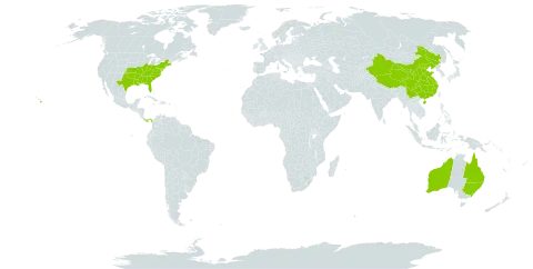 Broussonetia l'hér. ex world distribution map, present in Australia, China, Panama, and United States of America