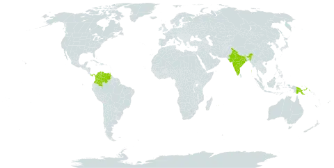 Brownea ariza world distribution map, present in Colombia, Grenada, India, Mauritius, Panama, Papua New Guinea, Trinidad and Tobago, Uganda, and Venezuela (Bolivarian Republic of)