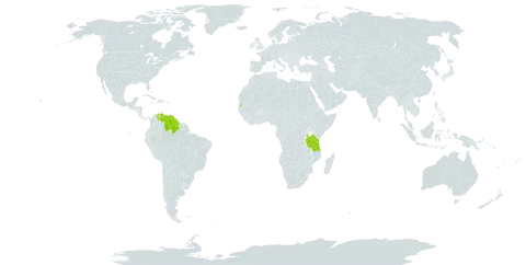 Brownea coccinea subsp. capitella world distribution map, present in Brazil, Guyana, Iceland, Mauritius, Seychelles, Trinidad and Tobago, Tanzania, United Republic of, Uganda, and Venezuela (Bolivarian Republic of)