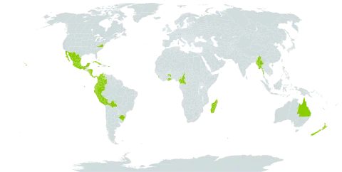 Brugmansia arborea world distribution map, present in Australia, Bahamas, Bolivia (Plurinational State of), Brazil, Cameroon, Cook Islands, Colombia, Costa Rica, Cuba, Ecuador, Ghana, Equatorial Guinea, Honduras, Jamaica, Sri Lanka, Madagascar, Mexico, Myanmar, Nicaragua, Niue, New Zealand, Panama, Peru, Puerto Rico, Sao Tome and Principe, Tonga, United States of America, and Venezuela (Bolivarian Republic of)