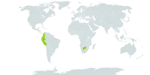 Brugmansia aurea world distribution map, present in Botswana, Colombia, Ecuador, and Peru