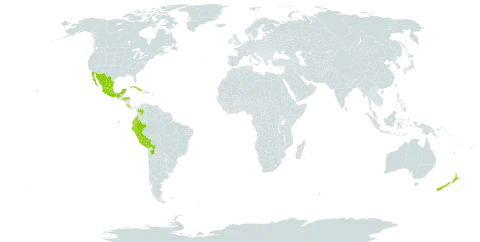 Brugmansia sanguinea world distribution map, present in Bolivia (Plurinational State of), Colombia, Costa Rica, Cuba, Ecuador, Honduras, Mexico, New Zealand, Peru, and Portugal