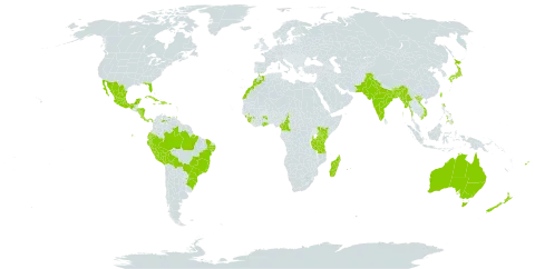 Brugmansia suaveolens world distribution map, present in Argentina, Antigua and Barbuda, Australia, Bangladesh, Bolivia (Plurinational State of), Brazil, Bhutan, Cameroon, Costa Rica, Cuba, Dominica, Dominican Republic, Ecuador, Spain, Fiji, Ghana, Guinea, Guadeloupe, Honduras, Haiti, India, Jamaica, Japan, Kenya, Saint Lucia, Sri Lanka, Morocco, Madagascar, Maldives, Mexico, Myanmar, Martinique, Mauritius, Nicaragua, Nepal, New Zealand, Pakistan, Panama, Peru, Philippines, Puerto Rico, Portugal, Paraguay, Réunion, Sierra Leone, Trinidad and Tobago, Taiwan, Province of China, Tanzania, United Republic of, Uganda, United States of America, Venezuela (Bolivarian Republic of), and Viet Nam