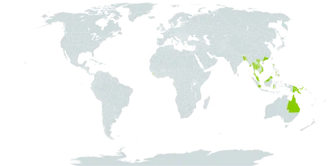 Bruguiera cylindrica world distribution map, present in Australia, Bangladesh, Brunei Darussalam, China, Indonesia, India, Sri Lanka, Maldives, Myanmar, Malaysia, Philippines, Papua New Guinea, Singapore, Thailand, and Viet Nam