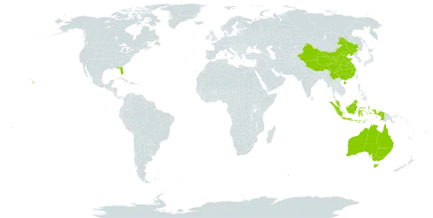 Bruguiera world distribution map, present in Australia, China, Indonesia, Marshall Islands, Malaysia, United States of America, and Samoa