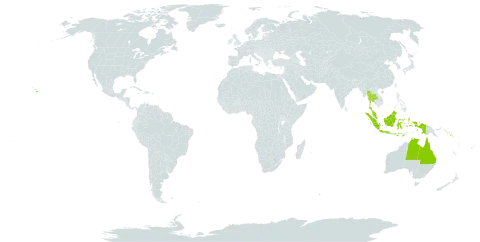 Bruguiera parviflora world distribution map, present in Australia, Indonesia, Malaysia, Solomon Islands, Thailand, and United States of America