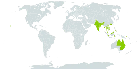 Bruguiera sexangula world distribution map, present in Australia, Bangladesh, Brunei Darussalam, China, Indonesia, India, Cambodia, Sri Lanka, Myanmar, Malaysia, Philippines, Papua New Guinea, Singapore, Thailand, United States of America, and Viet Nam