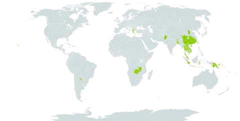 Buddleja asiatica world distribution map, present in Argentina, Bangladesh, Bhutan, China, Greece, Guam, Indonesia, India, Cambodia, Lao People's Democratic Republic, Northern Mariana Islands, Malaysia, Nepal, Pakistan, Philippines, Papua New Guinea, Thailand, Taiwan, Province of China, United States of America, Viet Nam, Vanuatu, and Zambia