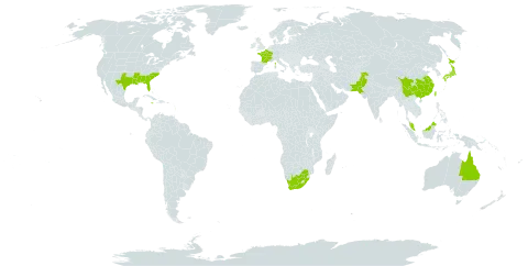 Buddleja lindleyana world distribution map, present in Australia, China, France, Jamaica, Japan, Martinique, Malaysia, Pakistan, Taiwan, Province of China, United States of America, and South Africa