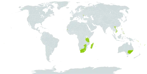 Bulbophyllum longiflorum world distribution map, present in Australia, Cook Islands, Fiji, Moldova (Republic of), Madagascar, Mauritius, Philippines, Réunion, Solomon Islands, Seychelles, Tanzania, United Republic of, Uganda, Viet Nam, Vanuatu, Samoa, South Africa, and Zimbabwe