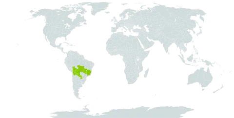 Bulbostylis eleocharoides world distribution map, present in Bolivia (Plurinational State of), Brazil, and Paraguay