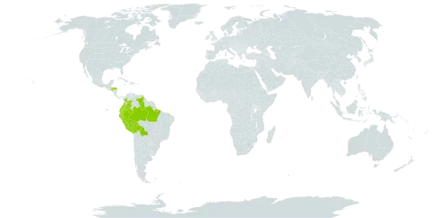 Bunchosia armeniaca world distribution map, present in Bolivia (Plurinational State of), Brazil, Colombia, Ecuador, Honduras, Peru, and Venezuela (Bolivarian Republic of)