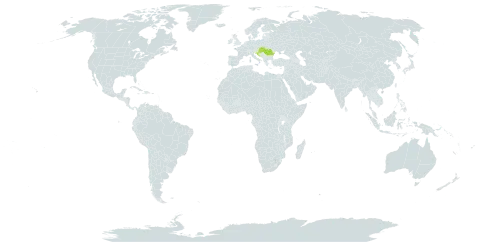 Bupleurum falcatum subsp. dilatatum world distribution map, present in Croatia, Hungary, Romania, and Slovakia