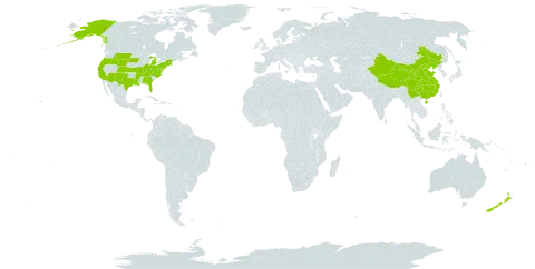 Bupleurum world distribution map, present in China, New Zealand, and United States of America