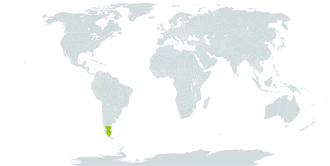 Burkartia lanigera world distribution map, present in Argentina and Uruguay