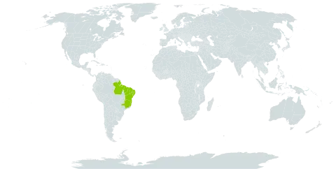 Byrsonima gardneriana world distribution map, present in Brazil