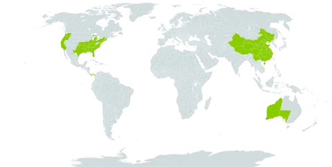 Cabomba world distribution map, present in Australia, China, Panama, and United States of America