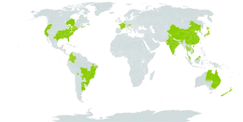 Cabomba caroliniana world distribution map, present in Argentina, American Samoa, Australia, Austria, Bolivia (Plurinational State of), Brazil, Canada, China, Colombia, France, India, Japan, Sri Lanka, Malaysia, Netherlands, New Zealand, Korea (Democratic People's Republic of), Paraguay, Thailand, Uruguay, United States of America, and Viet Nam