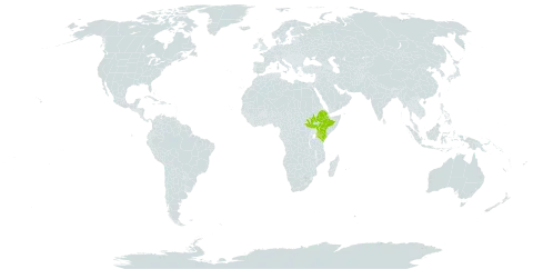 Cadaba gillettii world distribution map, present in Ethiopia, Kenya, and South Sudan