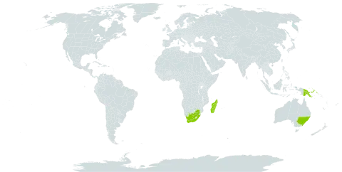 Caesia world distribution map, present in Australia, Madagascar, Papua New Guinea, and South Africa